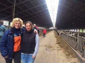 Diana Crudu: O agricultură susținută poate să facă din Moldova o Olandă a Europei de Est