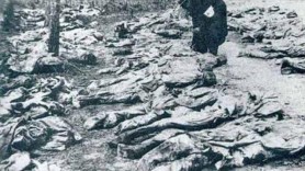 79 de ani de la „Masacrul de la Fântâna Albă”. Istoric: Este una din cele mai sângeroase pagini din istoria românilor