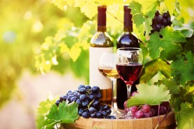 Deși a produs cu 15% mai puțini struguri, Republica Moldova a exportat cu 17% mai mult vin