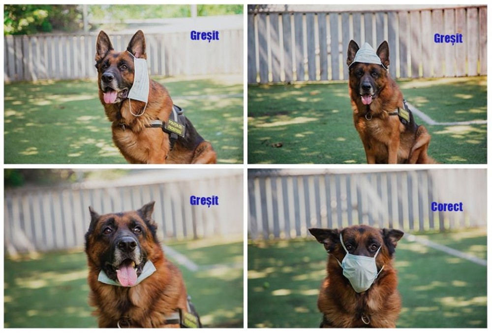 FOTO // Atillo ne demonstrează cum corect se poartă masca de protecție