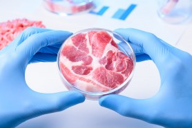 Premieră în tehnologie: Carne de pui crescută în laborator, aprobată pentru consum uman