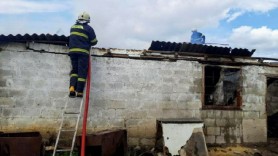 Incendiu devastator la o fermă de pui din raionul Telenești