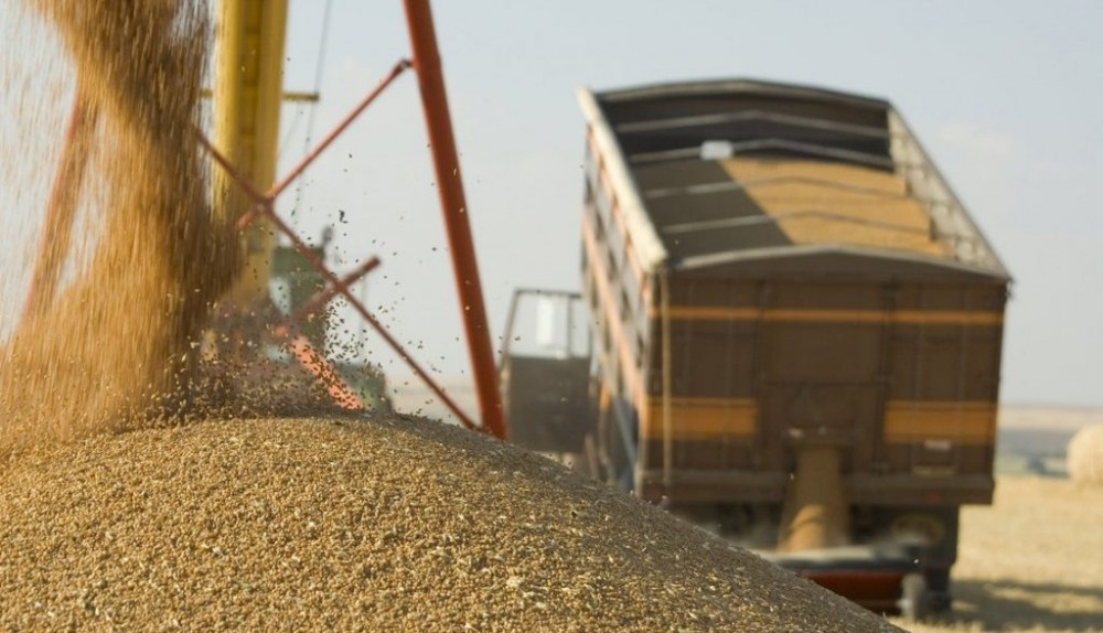 Alte 20.787 tone de grâu alimentar vor scoase din rezervele de stat
