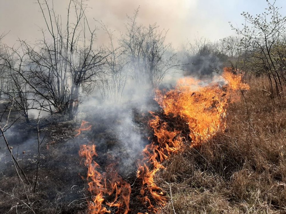 În ultimele 24 de ore, pompierii au lichidat 71 focare de vegetație uscată