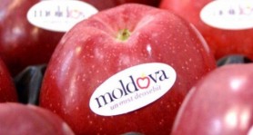 România este cel mai important client din UE al merelor recoltate în fermele din Republica Moldova