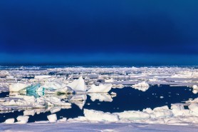 Pericolul "ascuns" în Oceanul Arctic. Consecințele uriaşe ar urma să apară în 2030