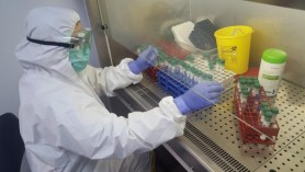 10 state din lume care au câștigat lupta cu noul Coronavirus